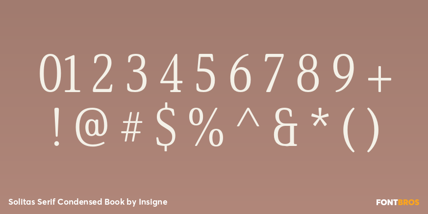 Solitas Serif Condensed Book Font Poster #4