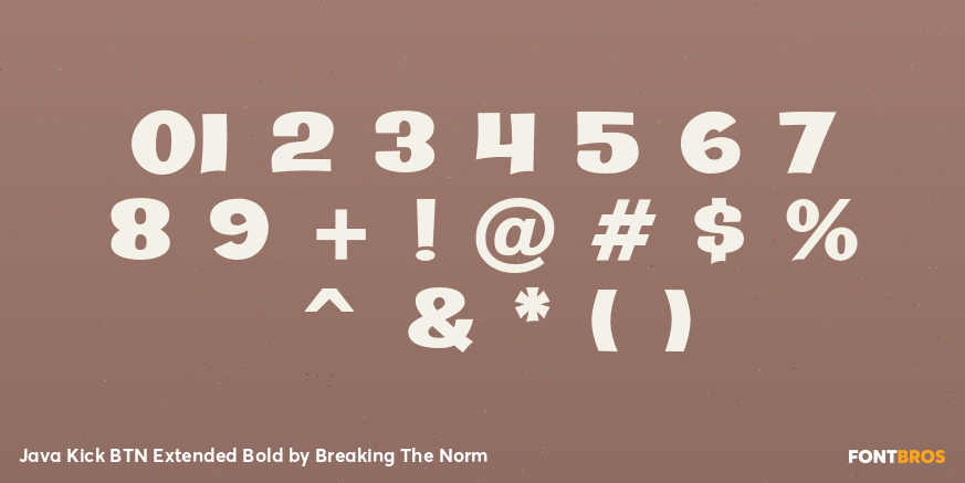 Java Kick BTN Extended Bold Font Poster #4