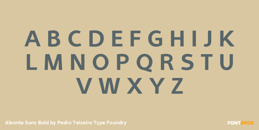 Aleante Sans Bold Font Poster #2