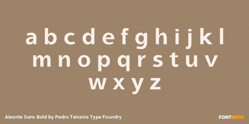 Aleante Sans Bold Font Poster #3