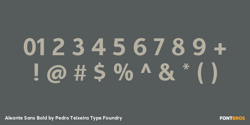 Aleante Sans Bold Font Poster #4