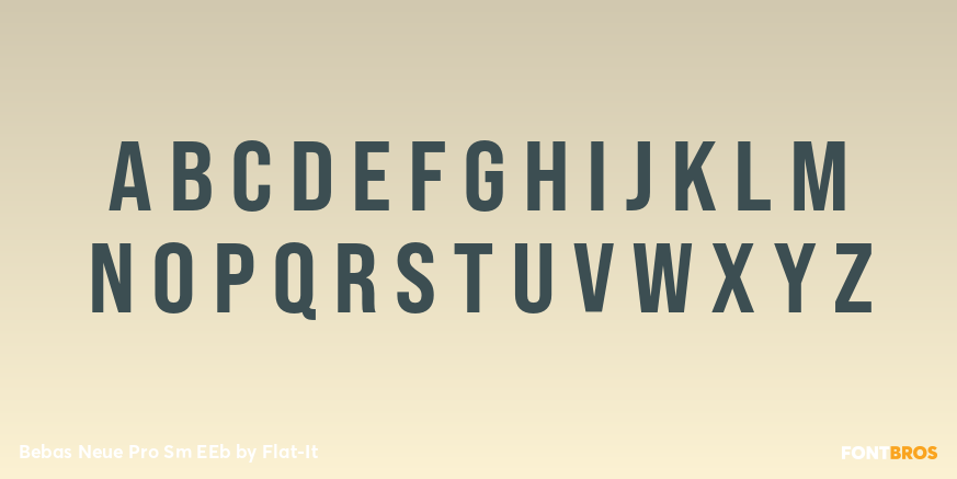 Bebas Neue Pro Sm EEb Font Poster #1
