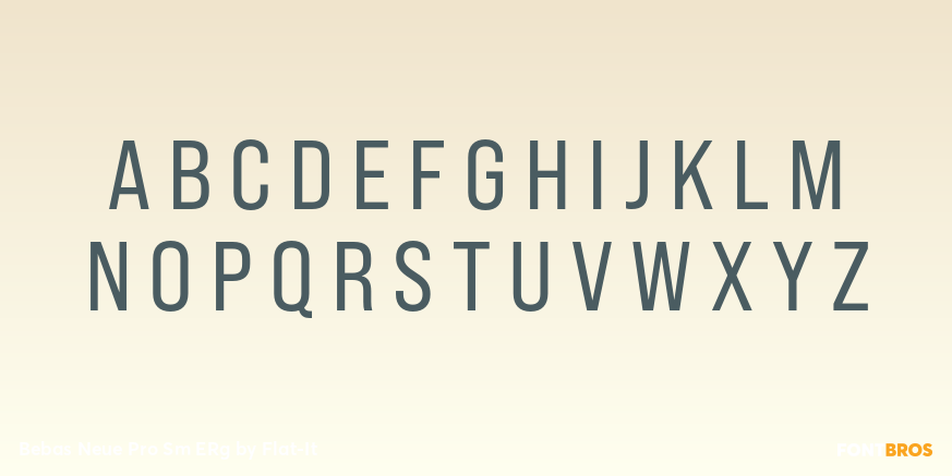 Bebas Neue Pro Sm ERg Font Poster #1