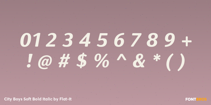City Boys Soft Bold Italic Font Poster #1