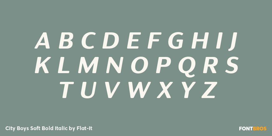 City Boys Soft Bold Italic Font Poster #1