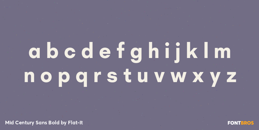 Mid Century Sans Bold Font Poster #3