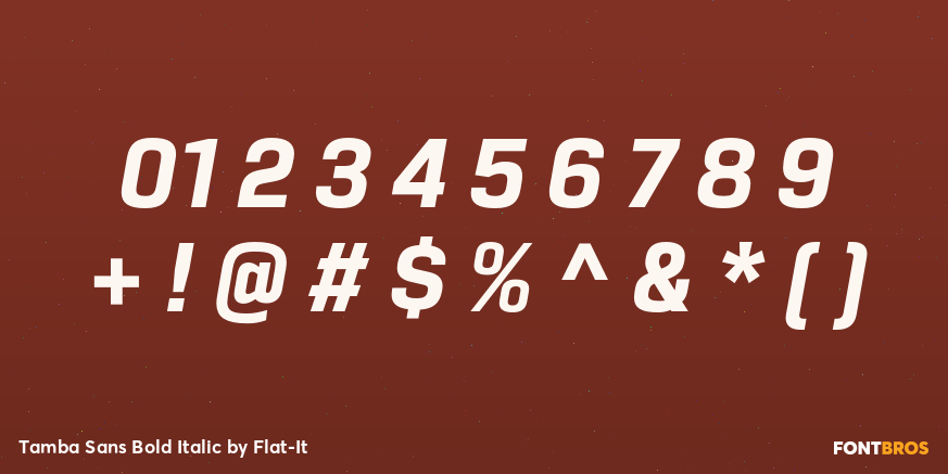 Tamba Sans Bold Italic Font Poster #1