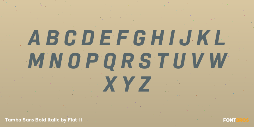 Tamba Sans Bold Italic Font Poster #1