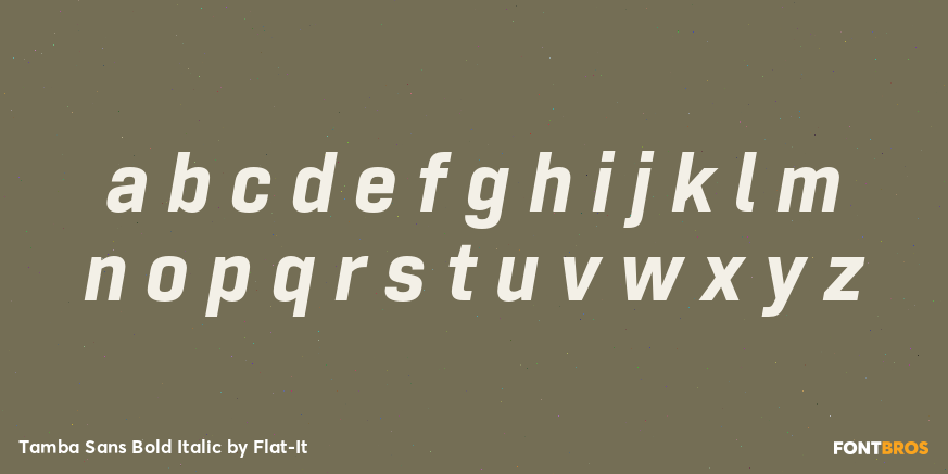 Tamba Sans Bold Italic Font Poster #1