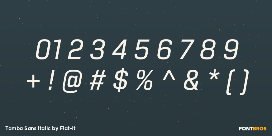 Tamba Sans Italic Font Poster #1