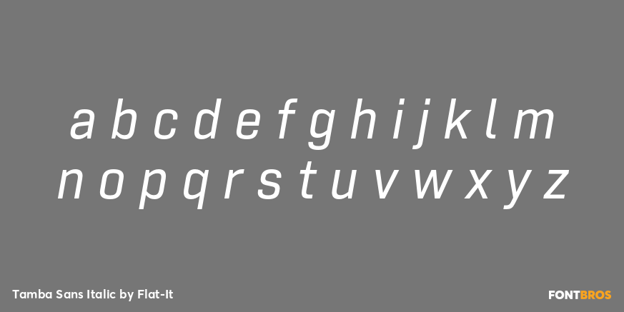 Tamba Sans Italic Font Poster #1