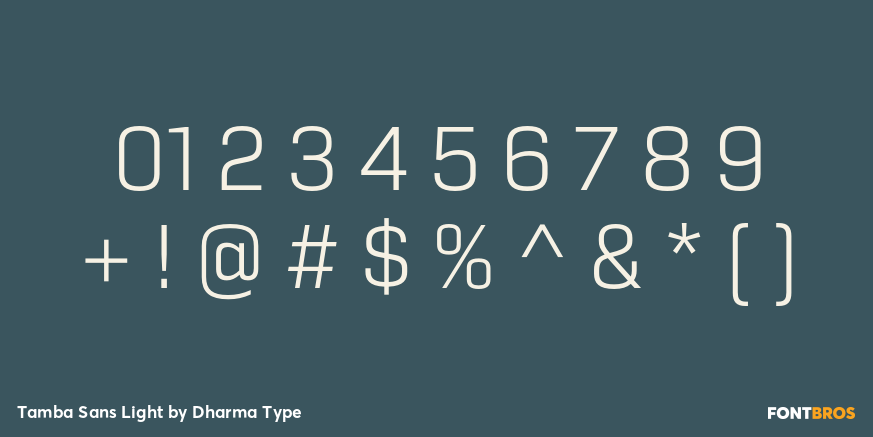 Tamba Sans Light Font Poster #4