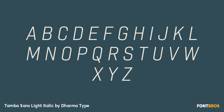 Tamba Sans Light Italic Font Poster #2