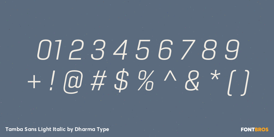 Tamba Sans Light Italic Font Poster #4