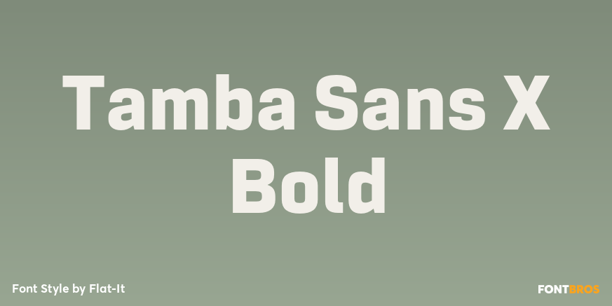 Tamba Sans X Bold Font Poster #1