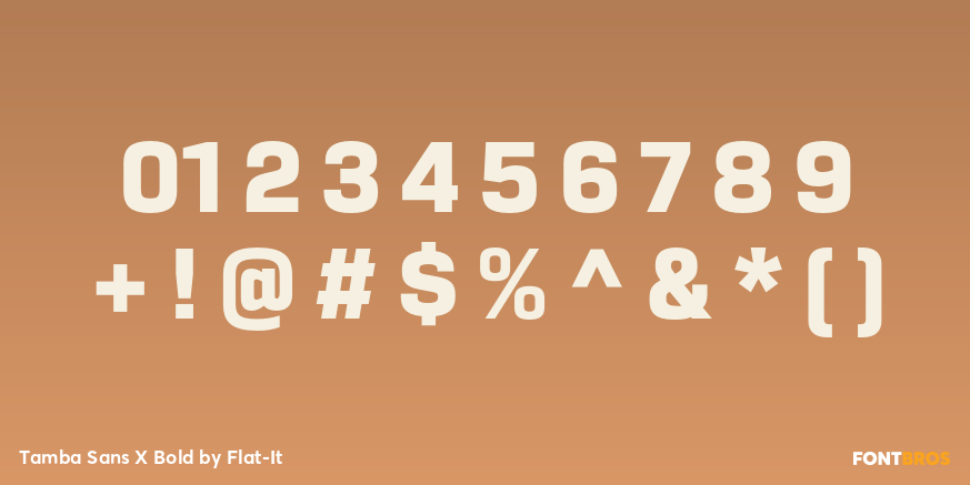 Tamba Sans X Bold Font Poster #1