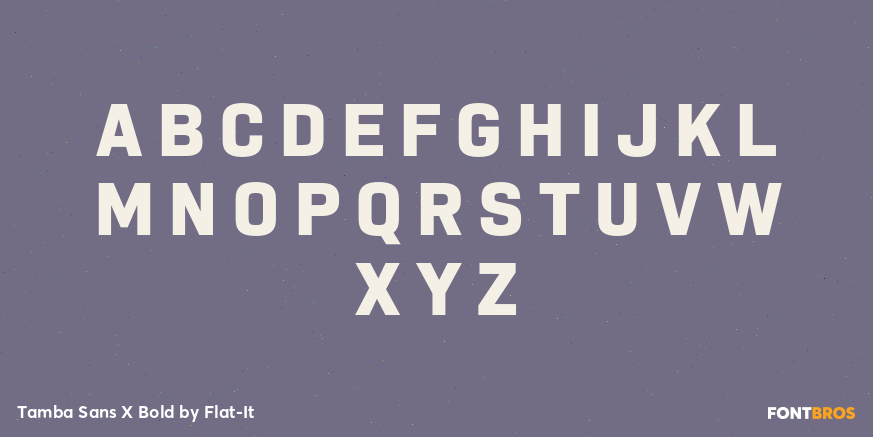 Tamba Sans X Bold Font Poster #1