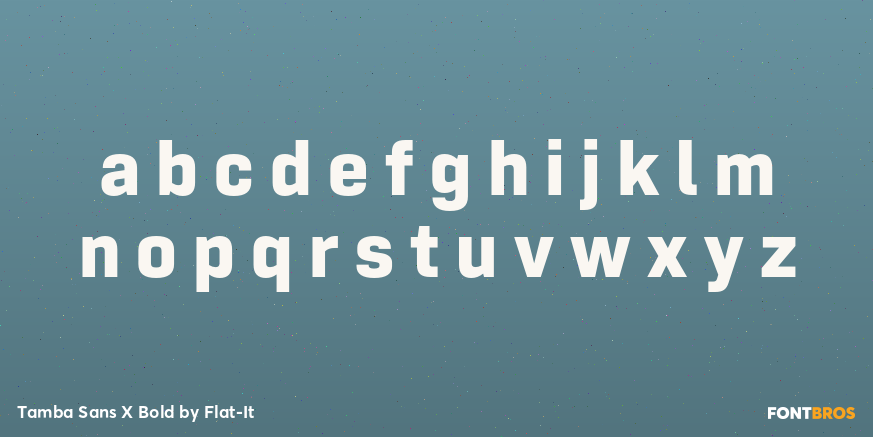 Tamba Sans X Bold Font Poster #1