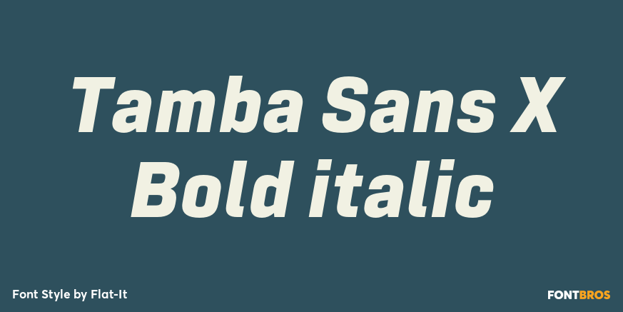 Tamba Sans X Bold italic Font Poster #1