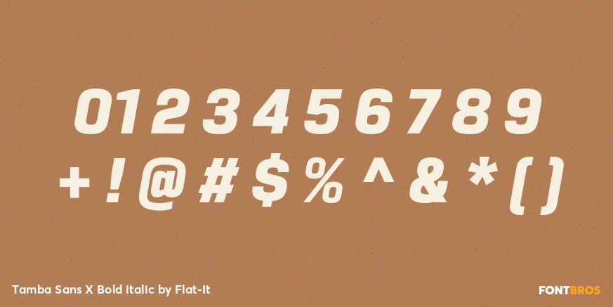 Tamba Sans X Bold italic Font Poster #1
