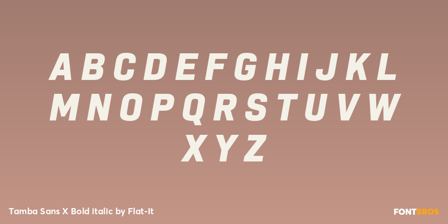 Tamba Sans X Bold italic Font Poster #1