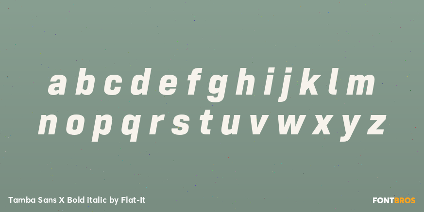 Tamba Sans X Bold italic Font Poster #1