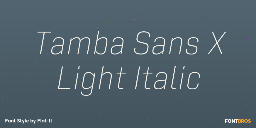 Tamba Sans X Light Italic Font Poster #1