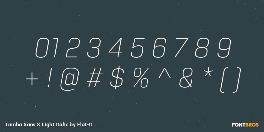 Tamba Sans X Light Italic Font Poster #1