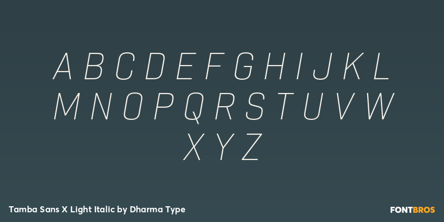 Tamba Sans X Light Italic Font Poster #2