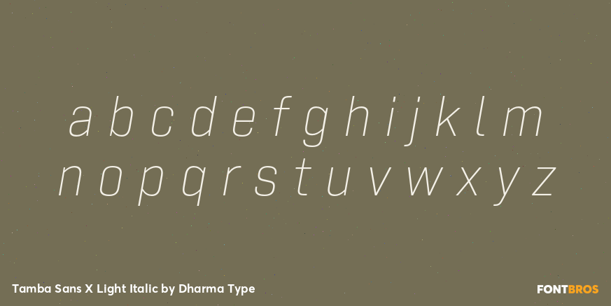 Tamba Sans X Light Italic Font Poster #3