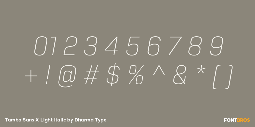 Tamba Sans X Light Italic Font Poster #4