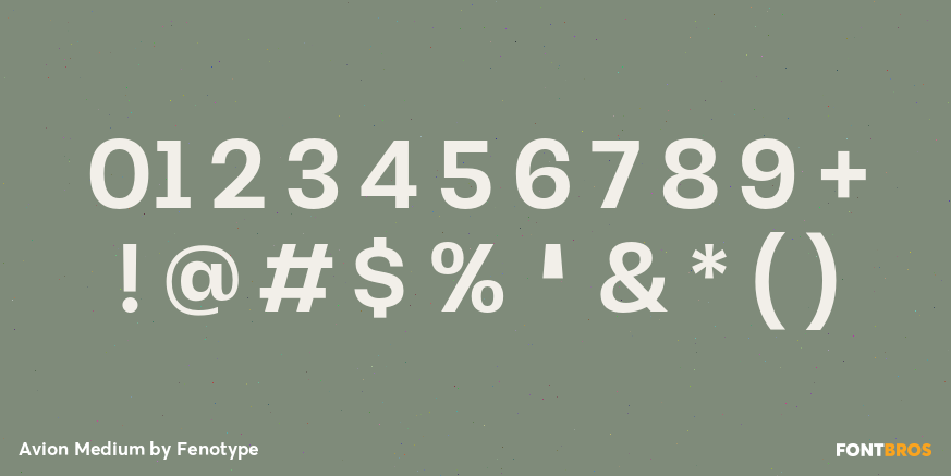 Avion Medium Font Poster #4