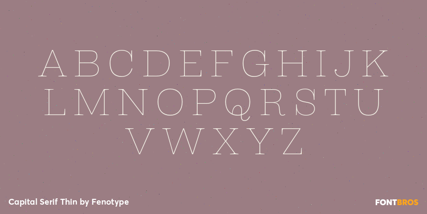 Capital Serif Thin Font Poster #2