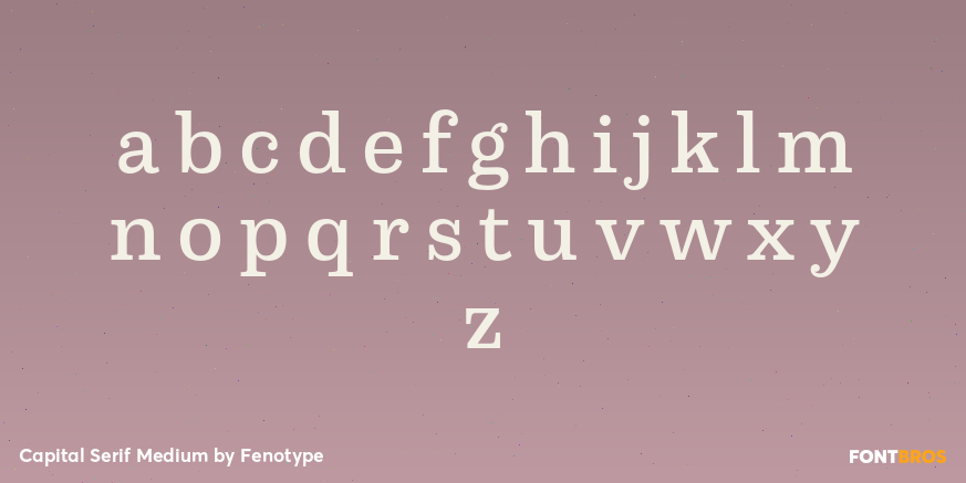 Capital Serif Medium Font Poster #3