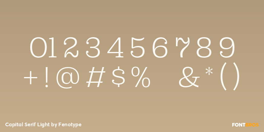 Capital Serif Light Font Poster #4