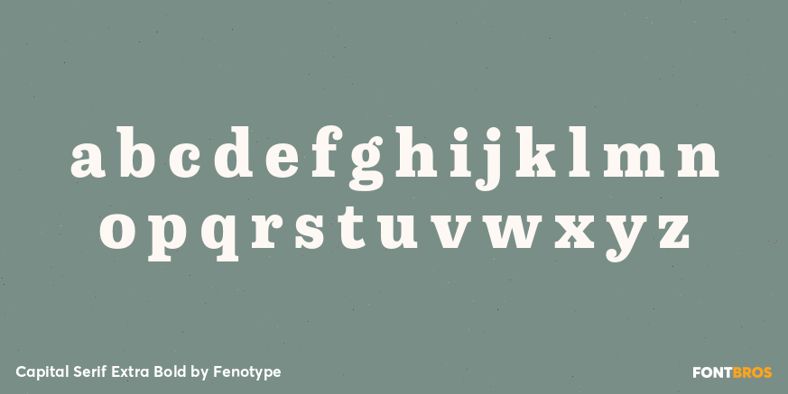 Capital Serif Extra Bold Font Poster #3