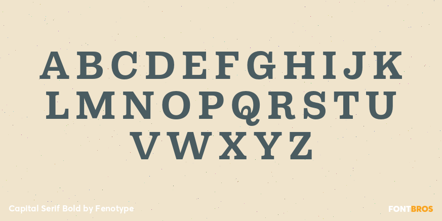 Capital Serif Bold Font Poster #2