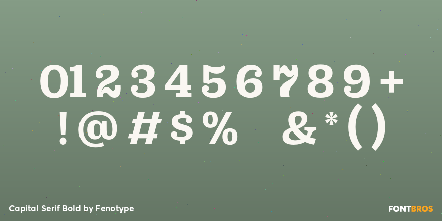 Capital Serif Bold Font Poster #4
