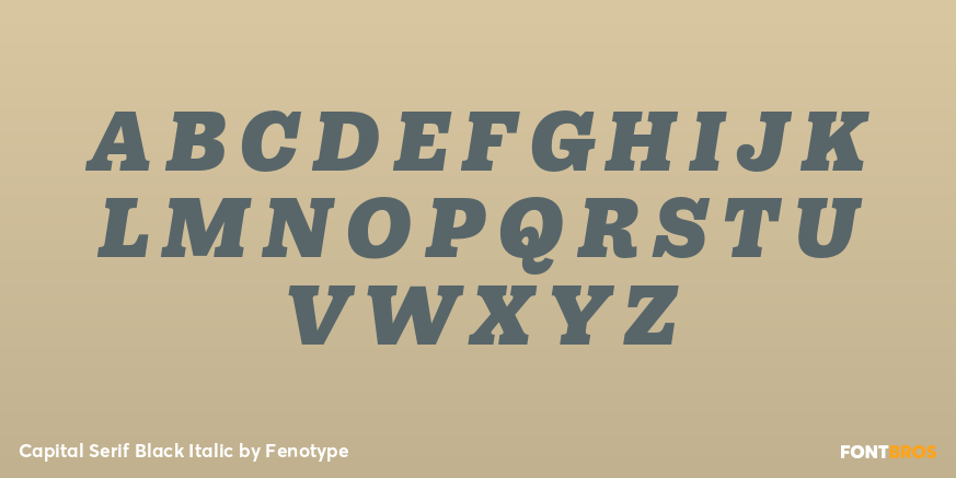 Capital Serif Black Italic Font Poster #2
