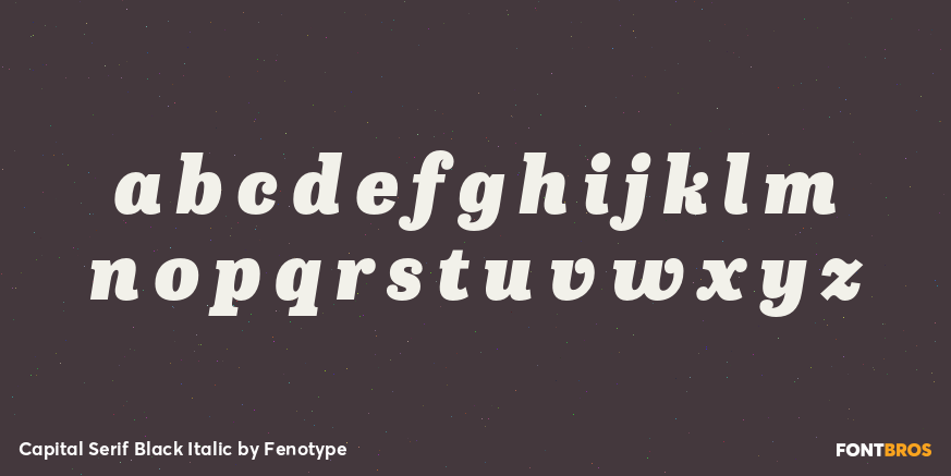 Capital Serif Black Italic Font Poster #3