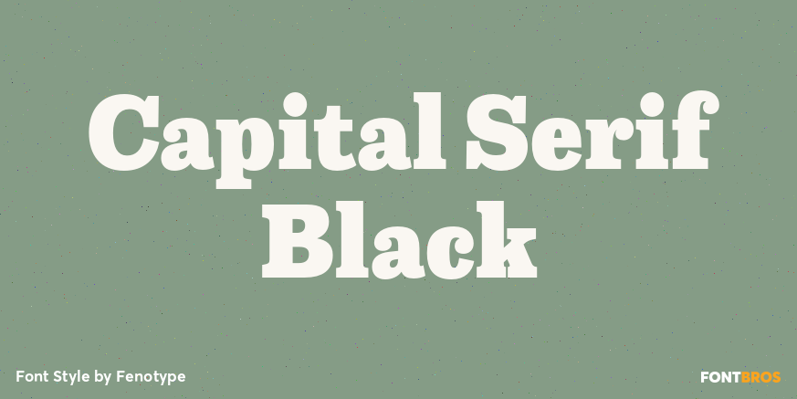 Capital Serif Black Poster