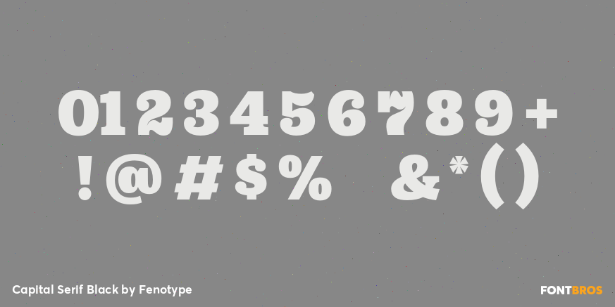Capital Serif Black Font Poster #1