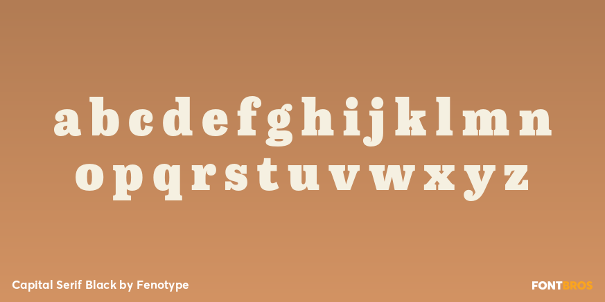 Capital Serif Black Font Poster #3