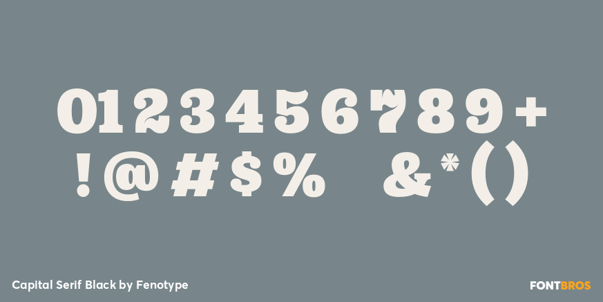Capital Serif Black Font Poster #4