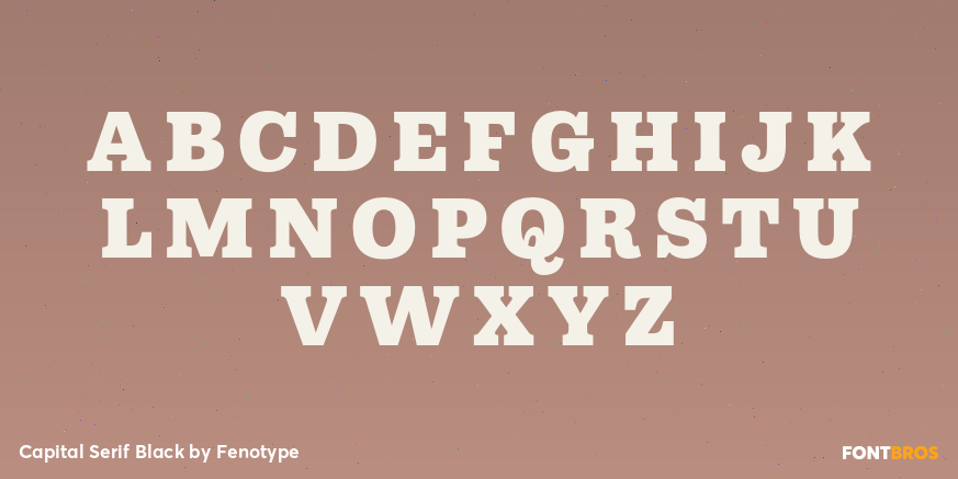 Capital Serif Black Font Poster #1