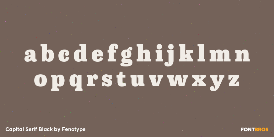 Capital Serif Black Font Poster #1