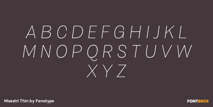 Maestri Thin Font Poster #2