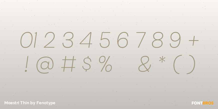 Maestri Thin Font Poster #4