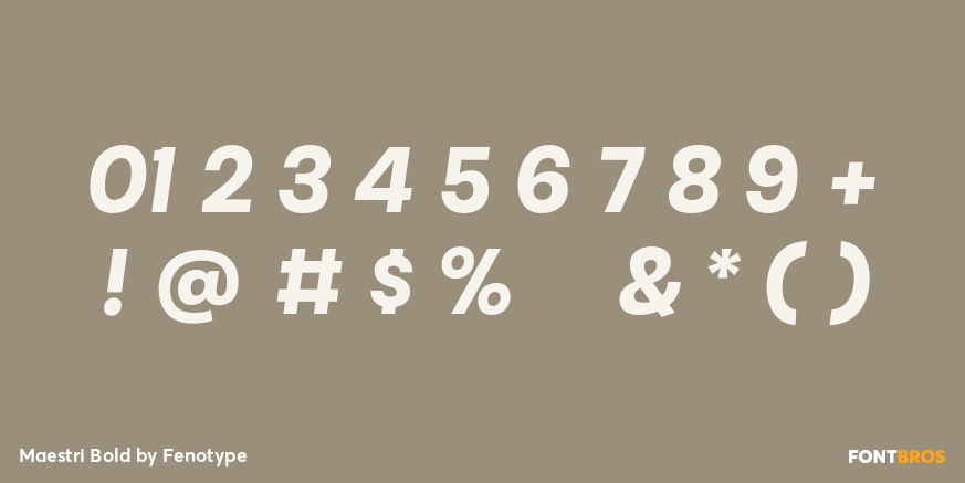 Maestri Bold Font Poster #4
