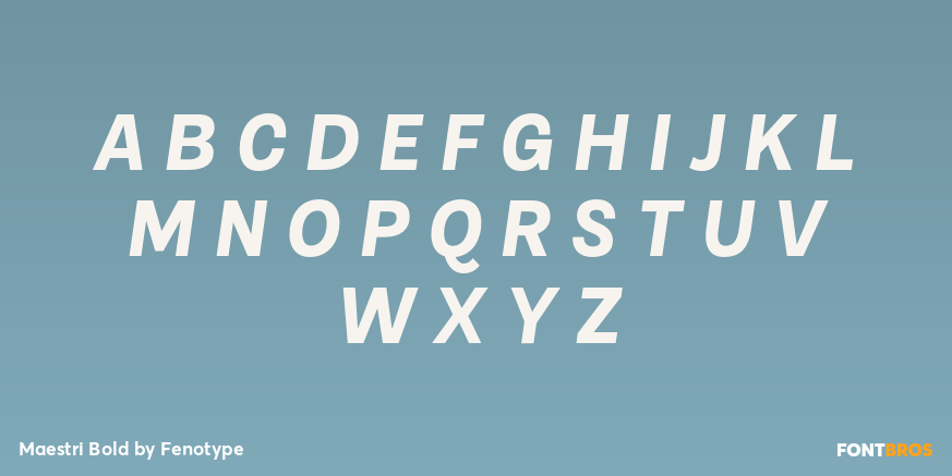 Maestri Bold Font Poster #2
